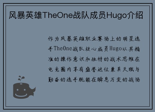 风暴英雄TheOne战队成员Hugo介绍